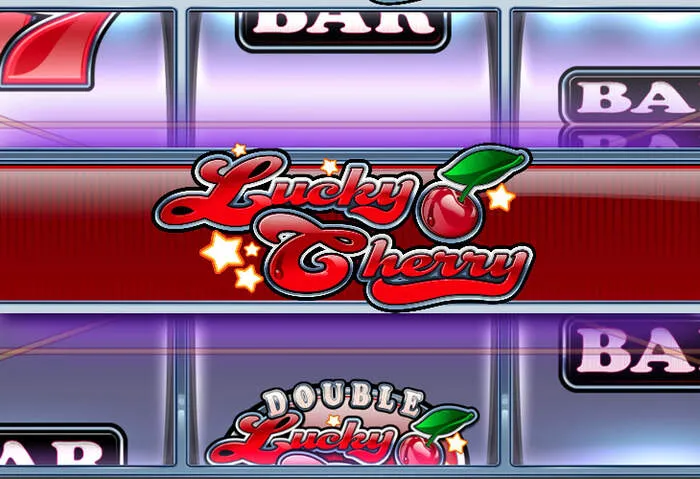 Fast and easy Casino Siteler Login process.