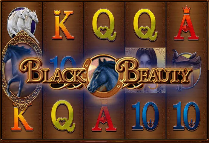 Avis sur les Bonus des Sites de Casino positifs et notations élevées.